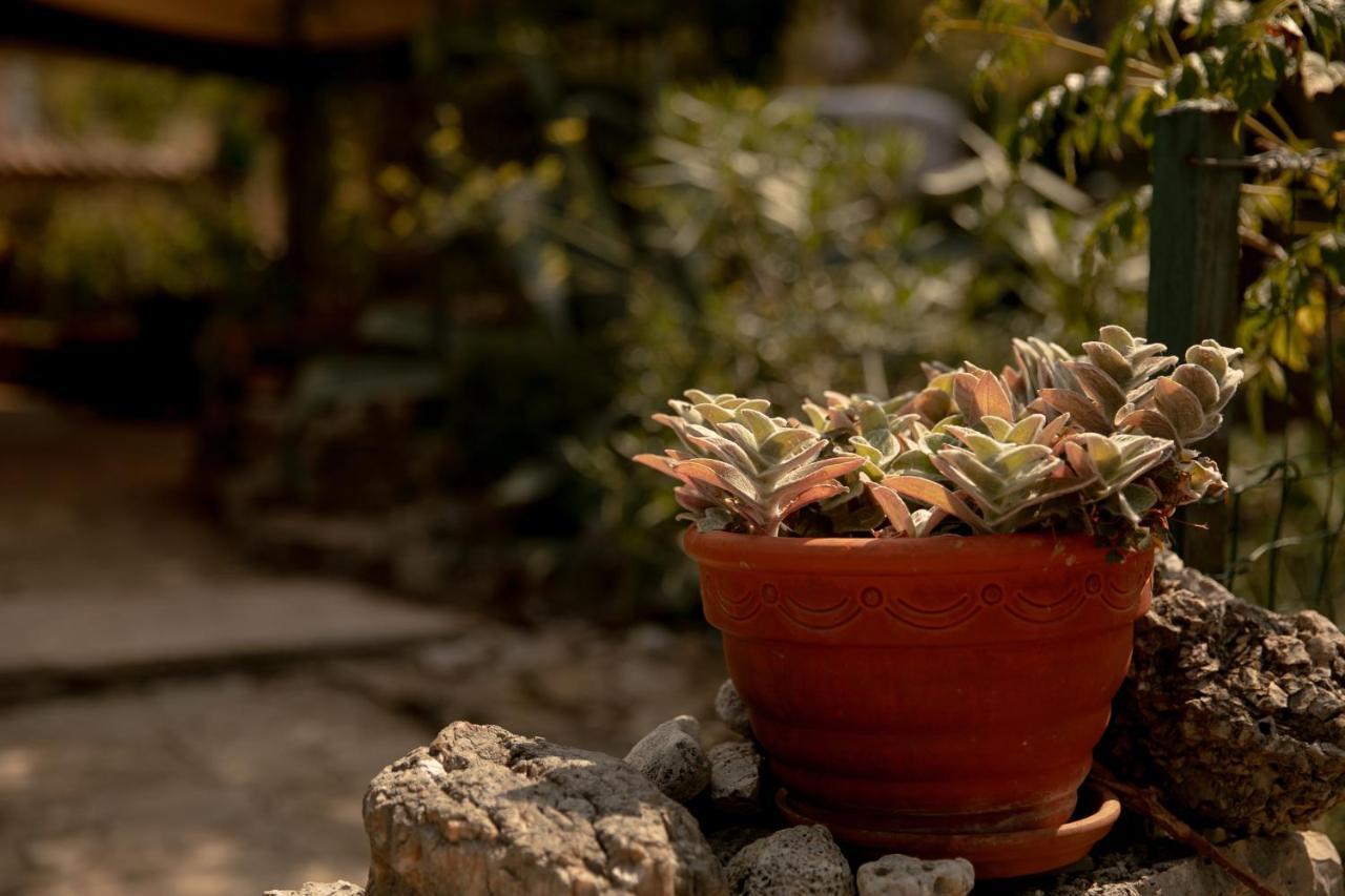 Apartman Silna Your New Home With Terrace And Garden Bobovisca Extérieur photo